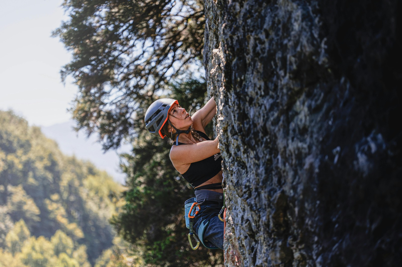Orientação profissional e desenvolvimento de carreira